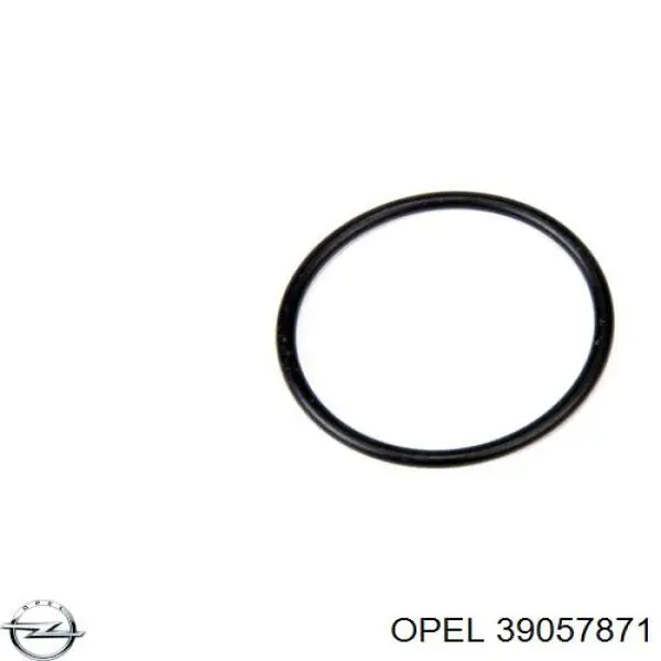  Opel 39057871 цена, от 14.11 USD