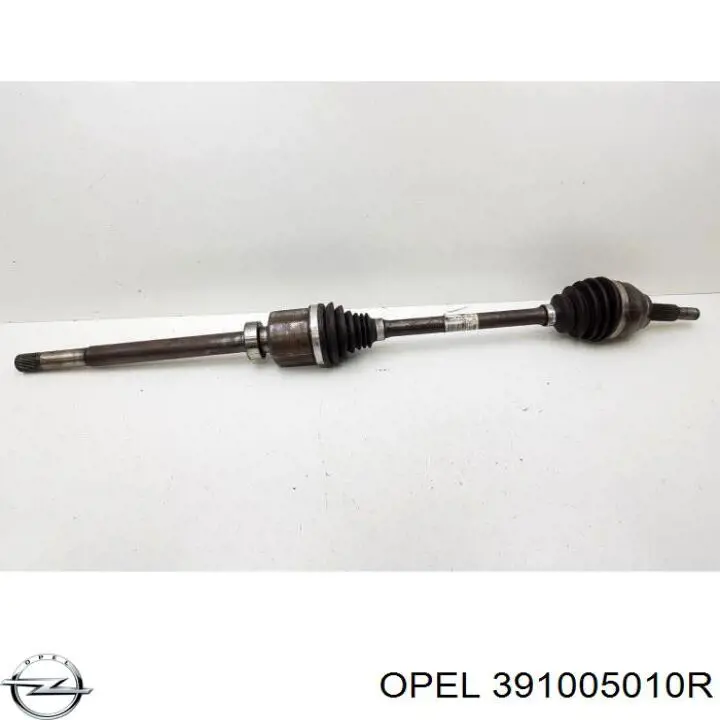  391005010R Opel