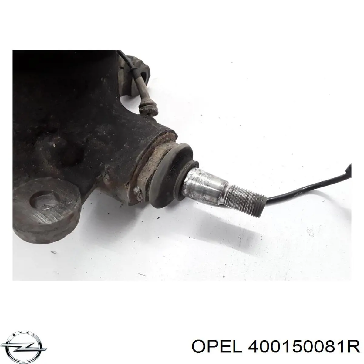 Цапфа (поворотный кулак) передний левый Renault (RVI) 400151061R цена, от 63.98 USD