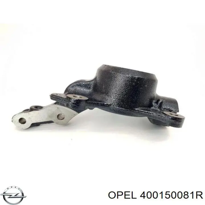 Цапфа передняя левая 400151061R Renault (RVI)