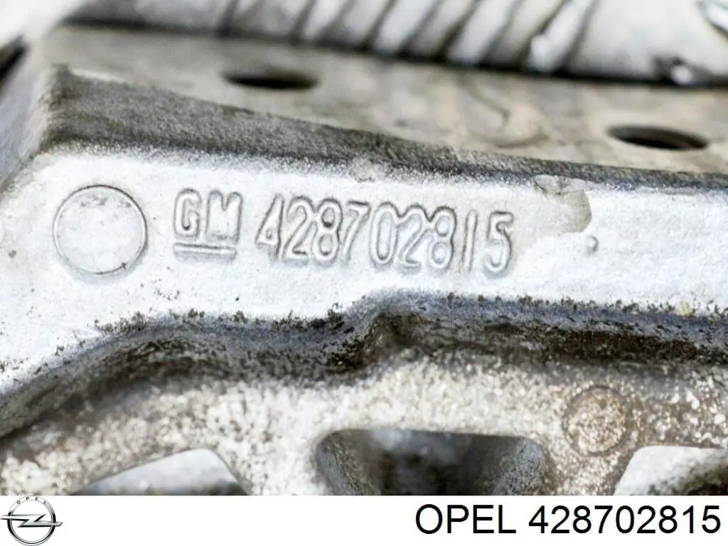  Opel 428702815 цена, от 9.96 USD