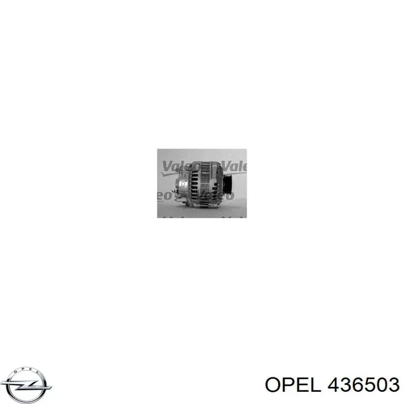 436503 Opel буфер (отбойник амортизатора заднего + пыльник)