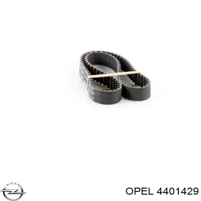 Купить 4401429 Opel Ремень газораспределительного механизма