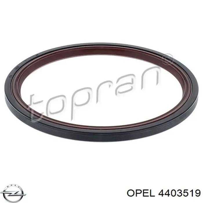 Купить 4403519 Opel Сальник коленвала задний