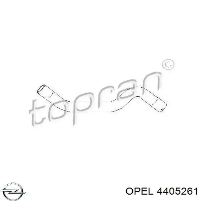 Шланг радиатора охлаждения Opel 4405261 цена, от 20.53 USD