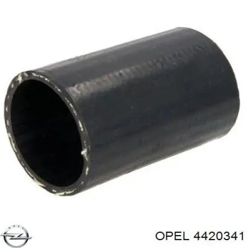 Шланг/патрубок интеркуллера Opel 4420341 цена, от 44.76 USD
