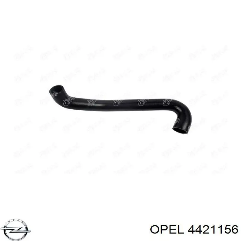 Купить 4421156 Opel Шланг радиатора охлаждения нижний