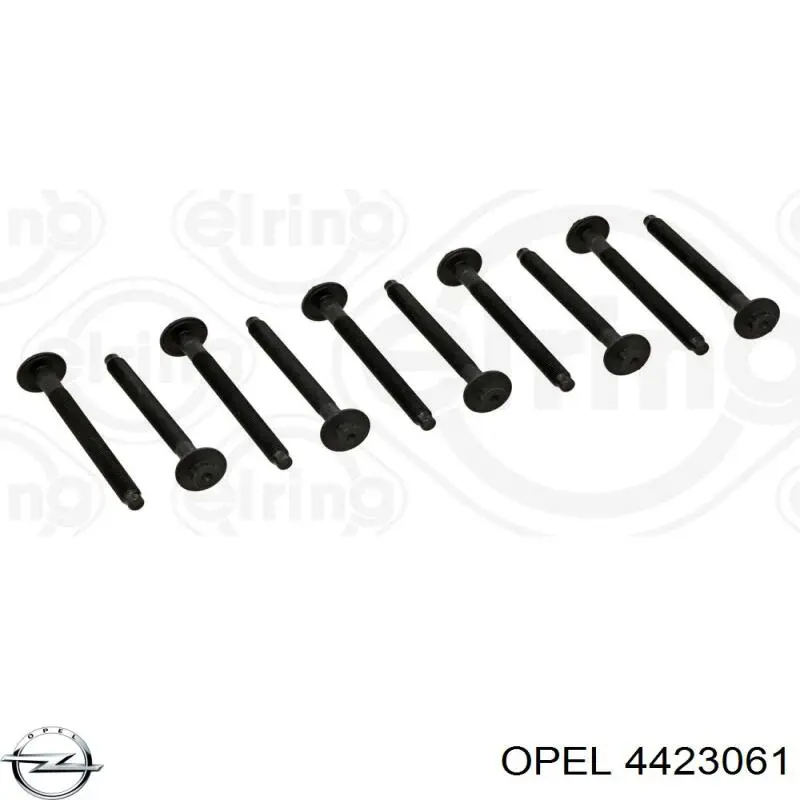 4423061 Opel болт гбц