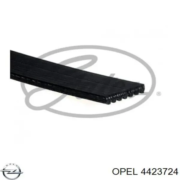 Клиновый ремень Opel 4423724 цена, от 19.48 USD