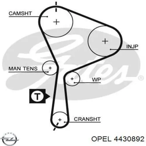 Ремень ГРМ 4430892 Opel