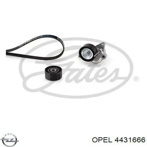 Ремень агрегатов приводной, комплект Opel 4431666 цена, от 44.29 USD