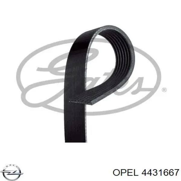 Клиновый ремень Opel 4431667 цена, от 19.38 USD