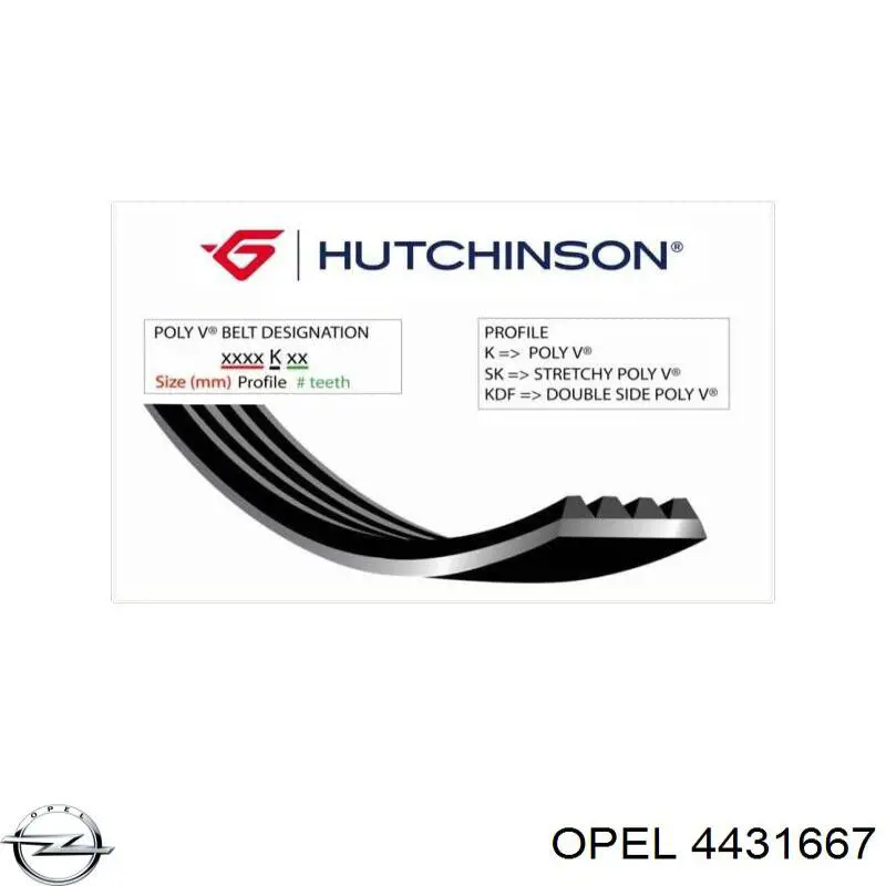 Купить 4431667 Opel Ремень генератора