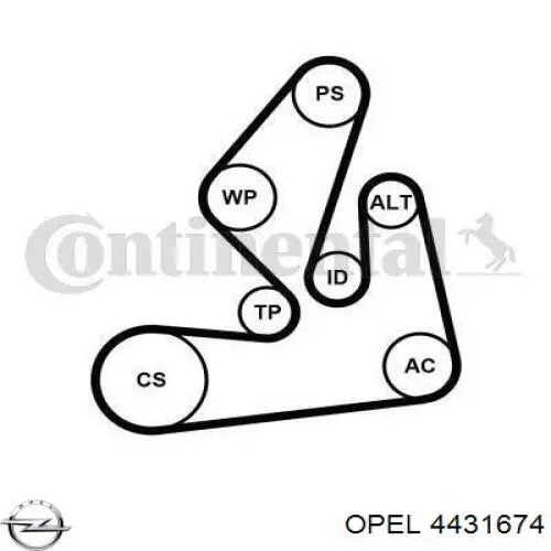 Ремень агрегатов приводной, комплект Opel 4431674 цена, от 90.86 USD