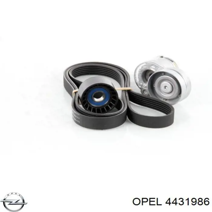 Купить 4431986 Opel Ремень приводной