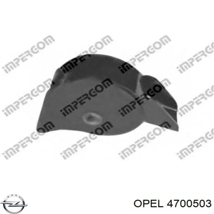  505605 Ted-gum