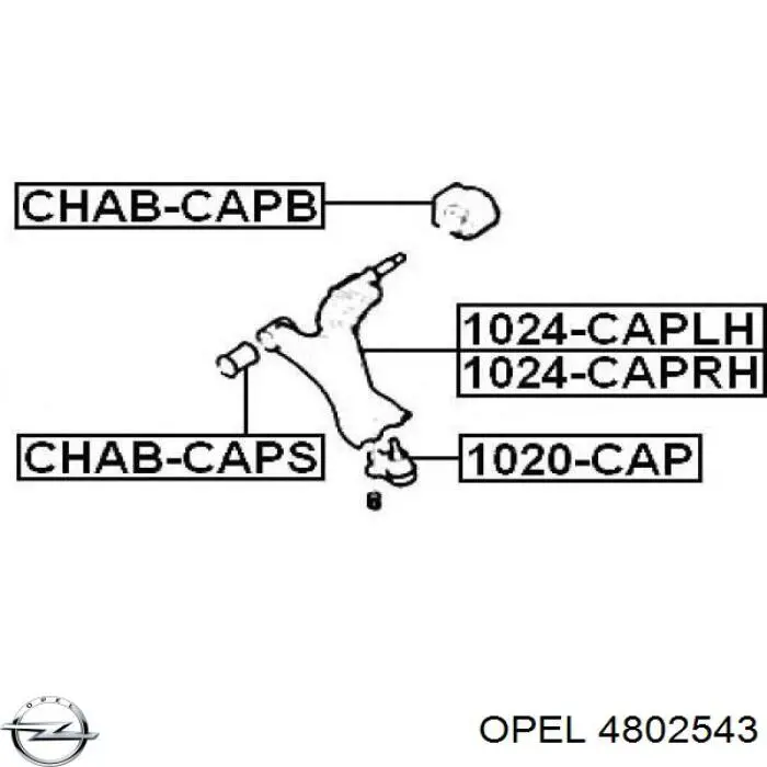 4802543 Opel Сайлентблок нижнего переднего рычага