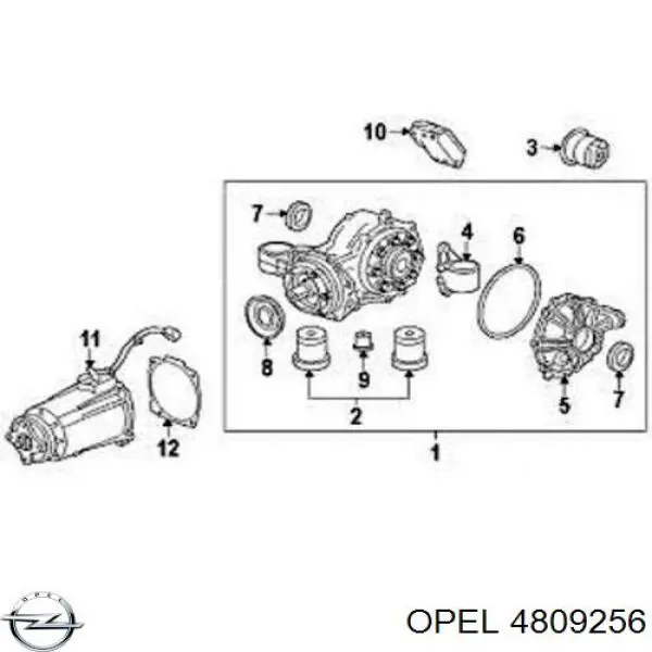 Сальник редуктора заднего моста 4809256 Opel