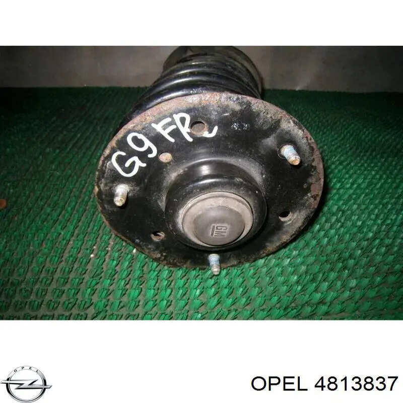 Купить 4813837 Opel Амортизатор подвески передний левый