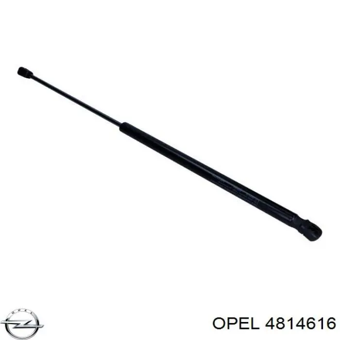 Амортизатор задней двери Opel 4814616 цена, от 14.81 USD