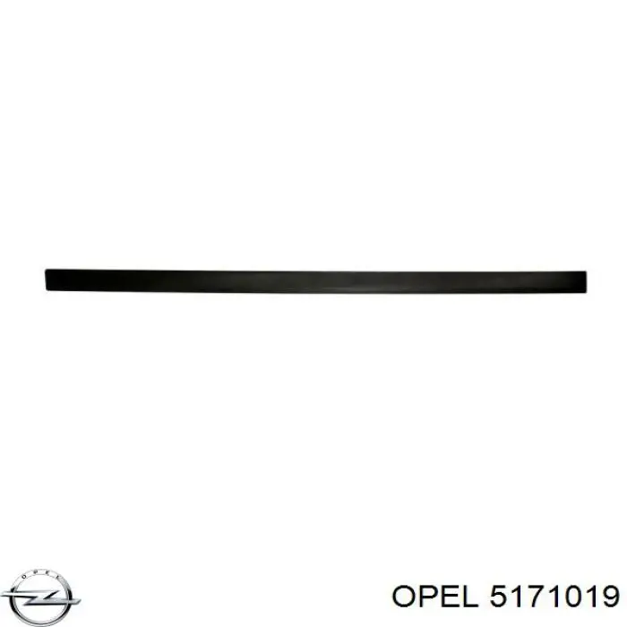 Молдинг двери передней левой Opel 9227285 цена, от 14.22 USD