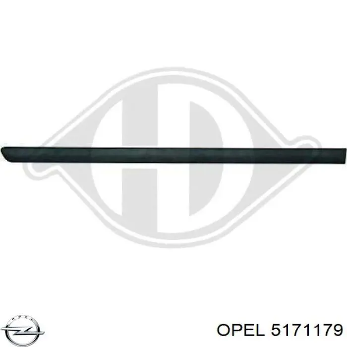 5171179 Opel молдинг задней левой двери