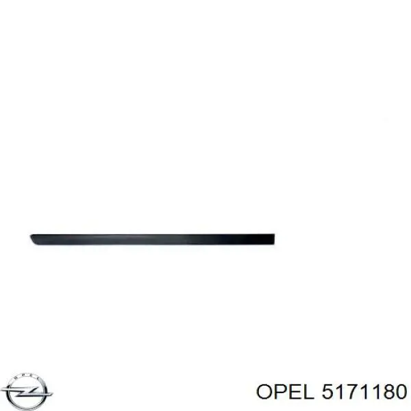 5171180 Opel молдинг двери задней правой