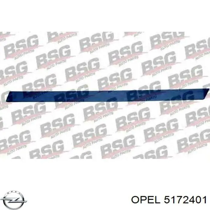 Молдинг двери задней левой Opel 5172401 цена, от 19.00 USD