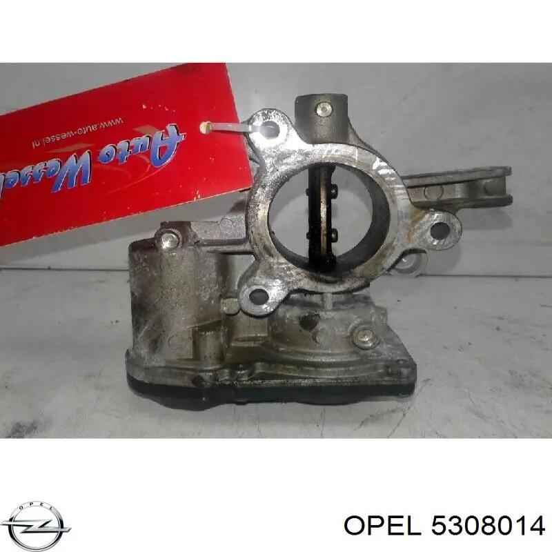 Цапфа (поворотный кулак) передний правый AIC 56513 цена, от 53.48 USD
