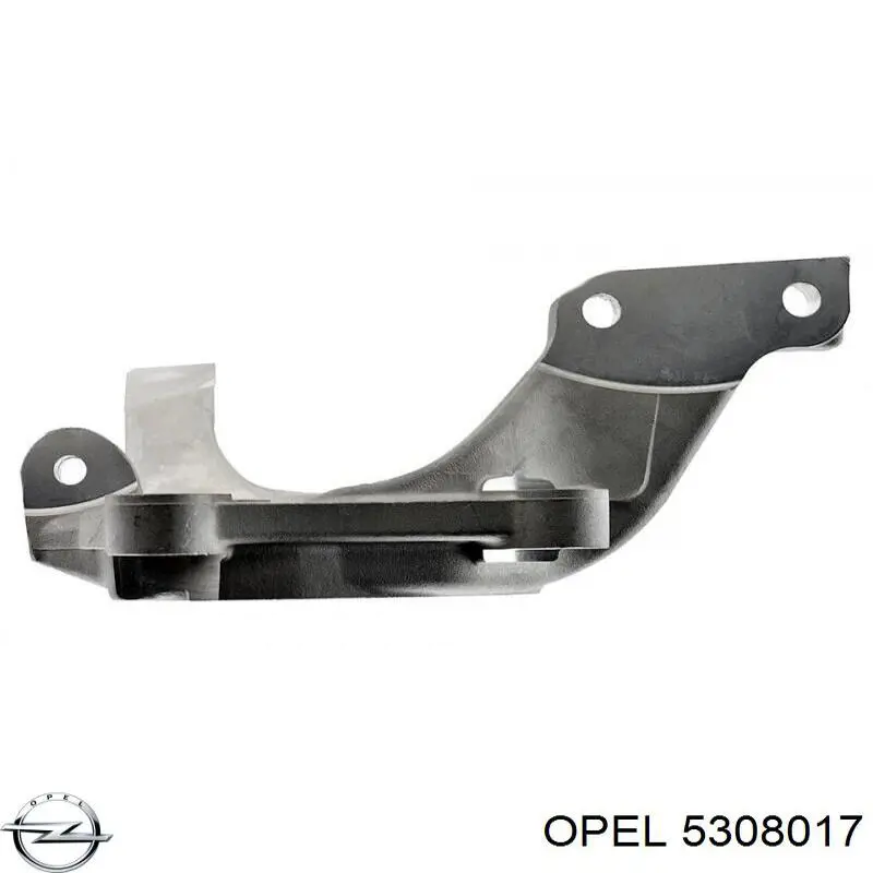 Купить 5308017 Opel Цапфа поворотная левая
