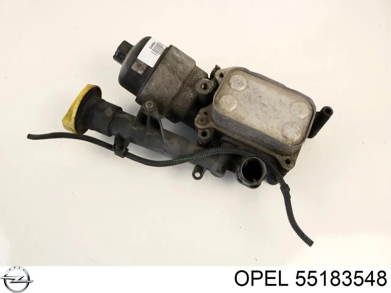 Радиатор масляный Opel 55183548