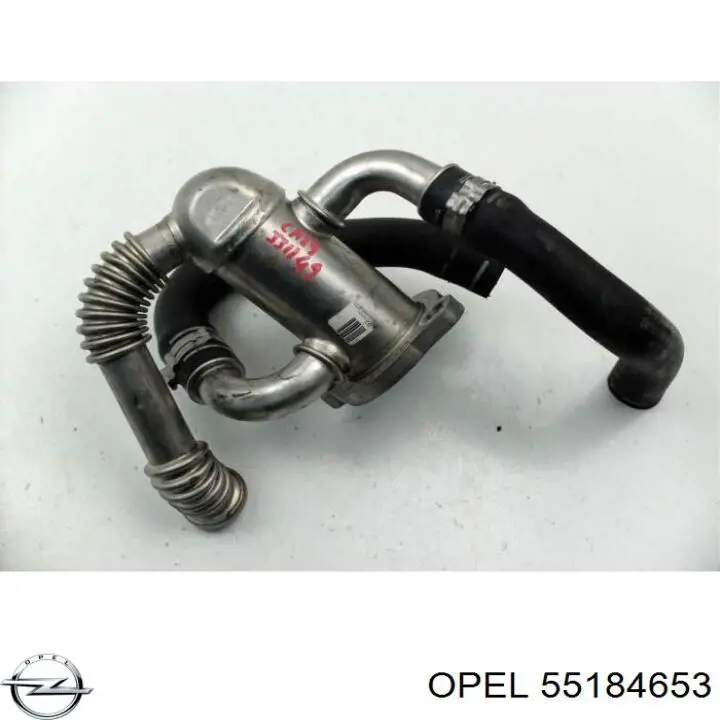 55184653 Opel mangueira (cano derivado de radiador EGR, linha de combustível de retorno)