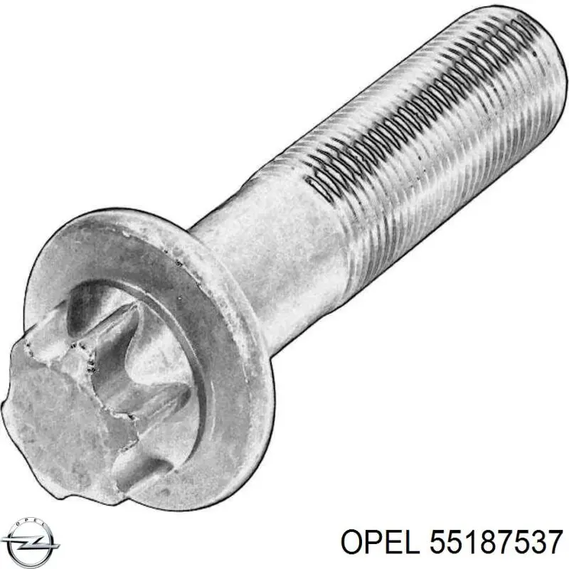 Болт кріплення маховика 55187537 Opel