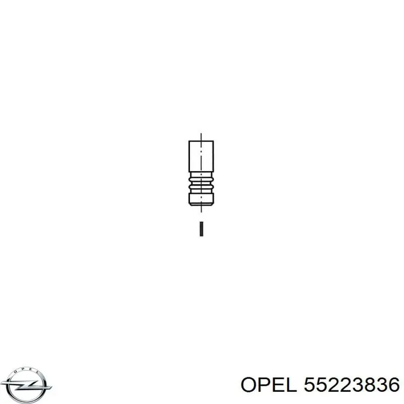 Выпускной клапан двигателя BGA V166401 цена, от 4.08 USD