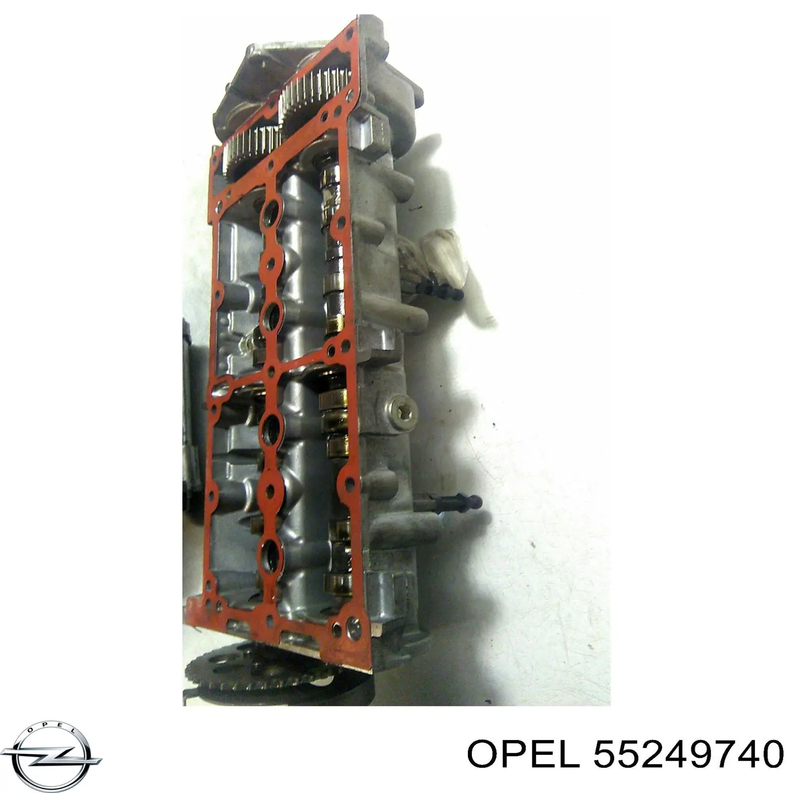 Tampa de válvulas para Fiat Tipo (356)