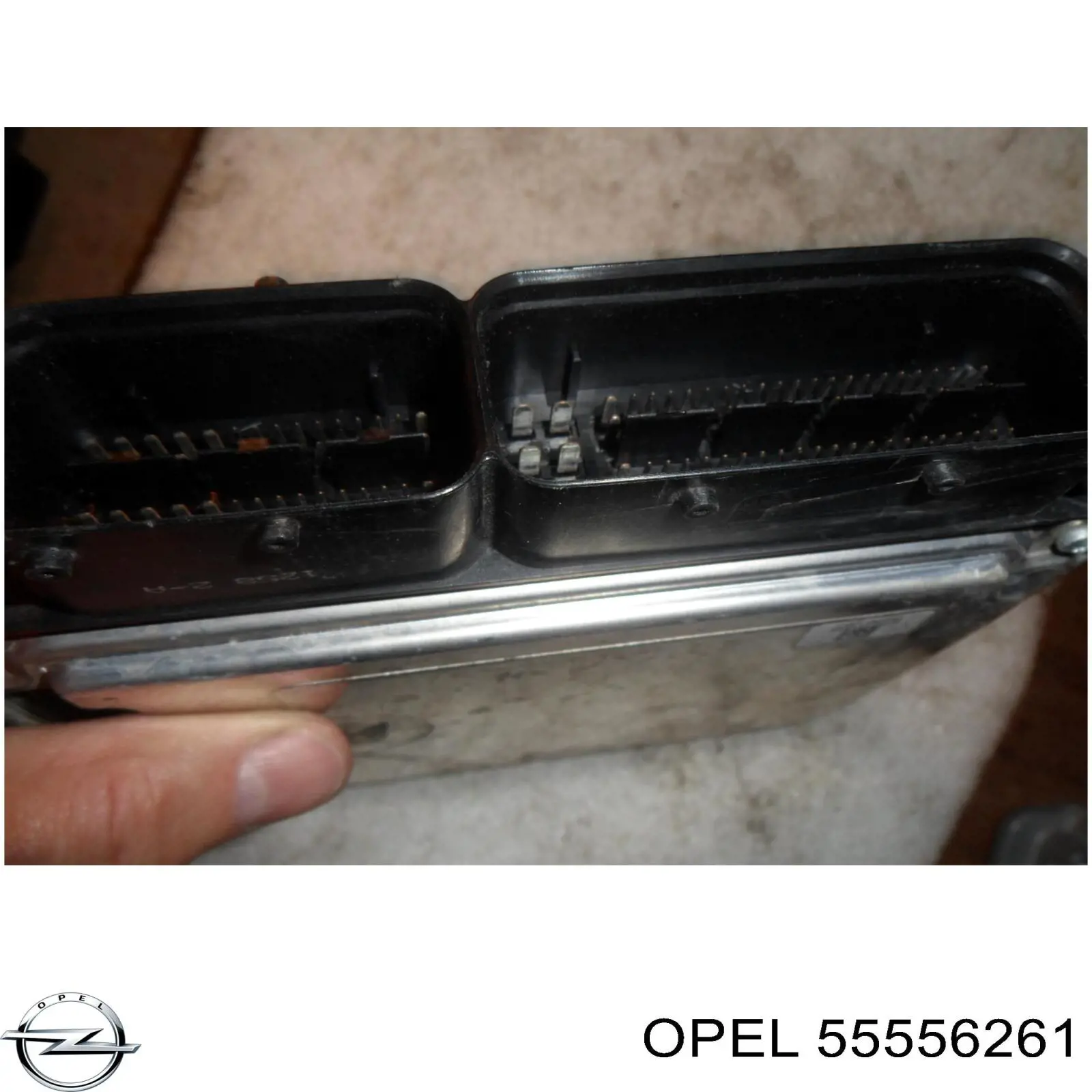 ЭБУ двигателем Bosch 0281011817 цена, от 90.65 USD