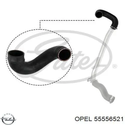  Thermotec DCX115TT цена, от 36.76 USD