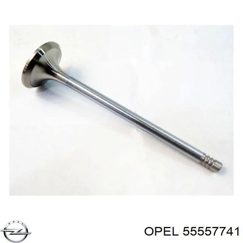 Клапан впускной Opel 55557741