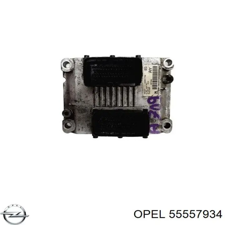 55557934 Opel Мозги двигателя