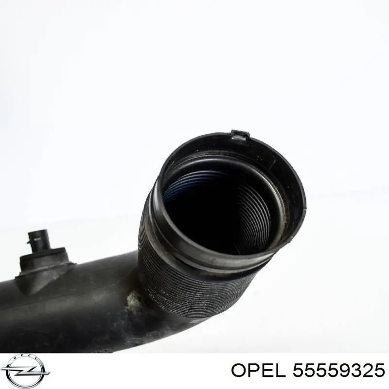 Купить 55559325 Opel 