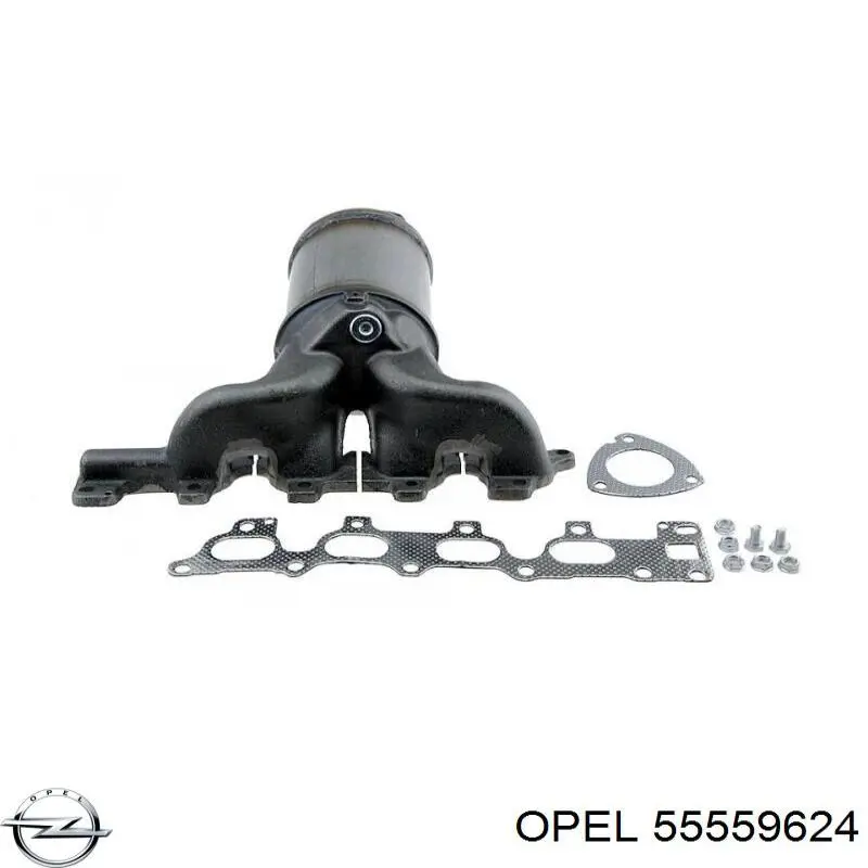 Система выпуска газов двигателя Opel 55559624 цена, от 445.57 USD