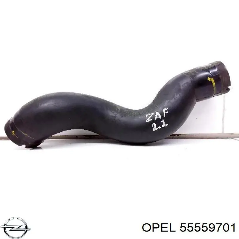  55559701 Opel