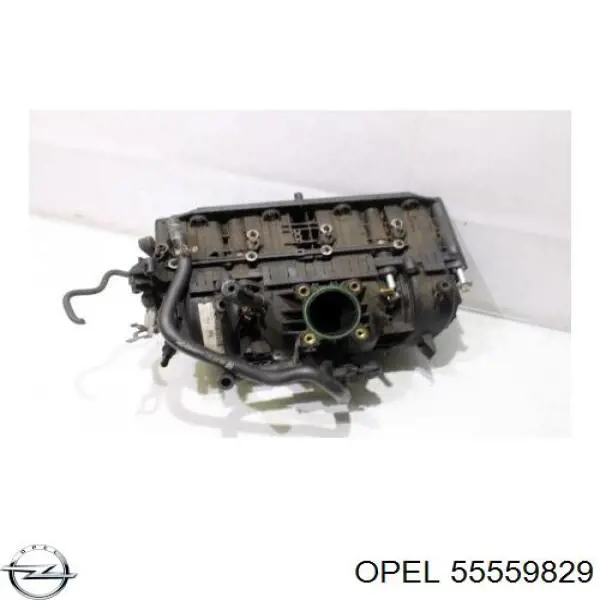  55559829 Opel