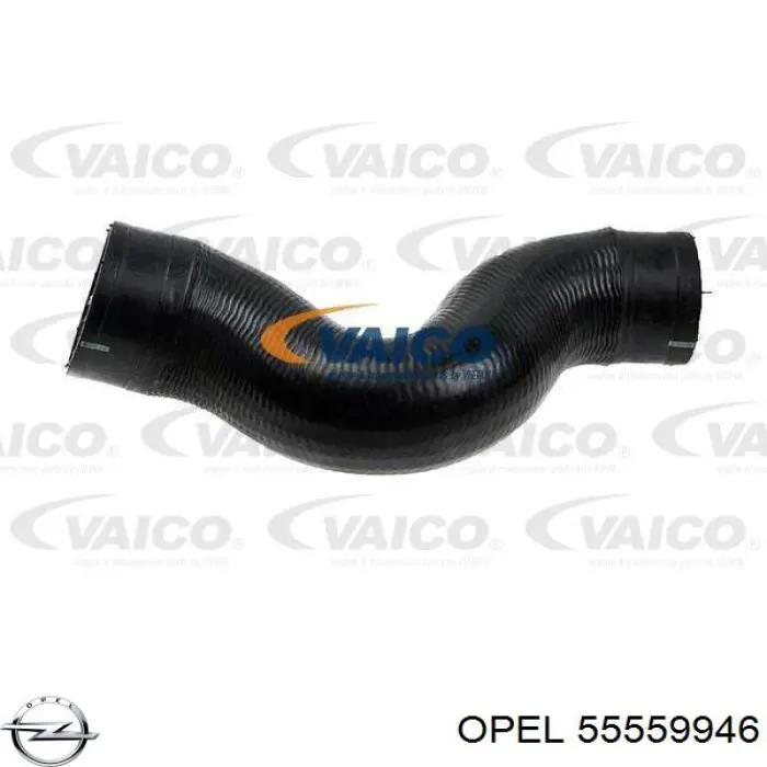 Шланг/патрубок интеркуллера Opel 55559946 цена, от 13.51 USD