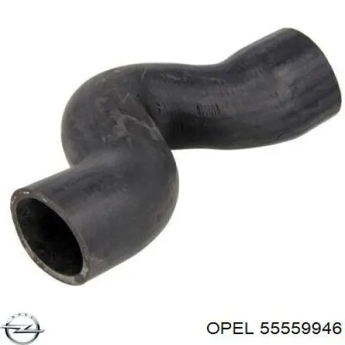 Купить 55559946 Opel Патрубок интеркулера