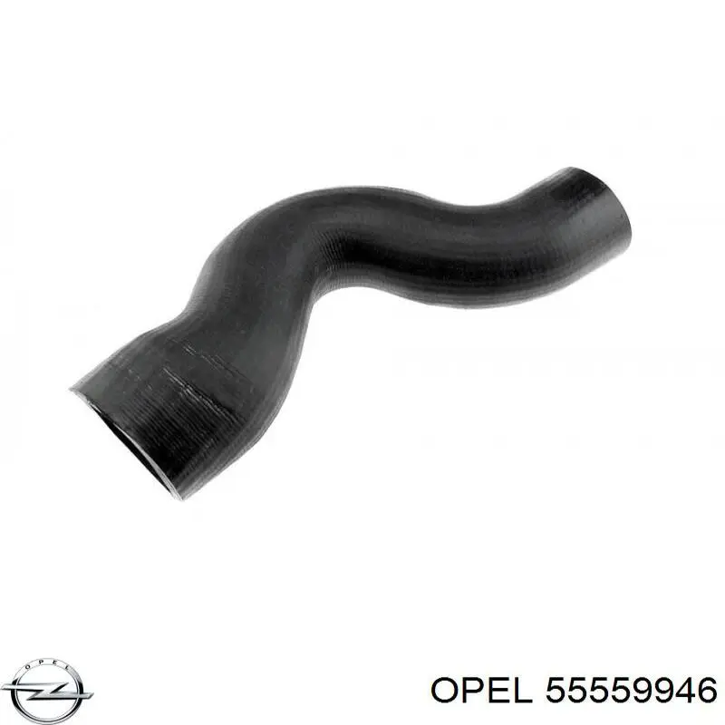 55559946 Opel шланг (патрубок интеркуллера нижний)