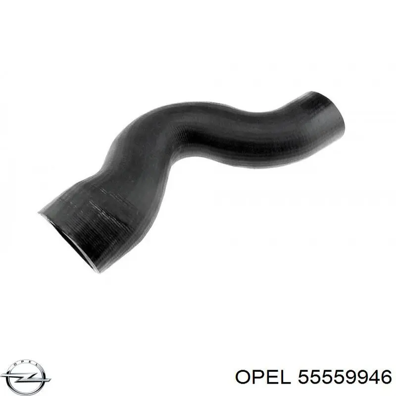 55559946 Opel mangueira (cano derivado inferior de intercooler)