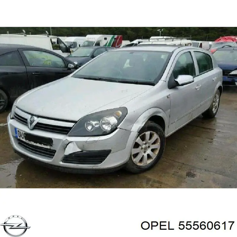 Лямбда зонд после катализатора Opel 55560617