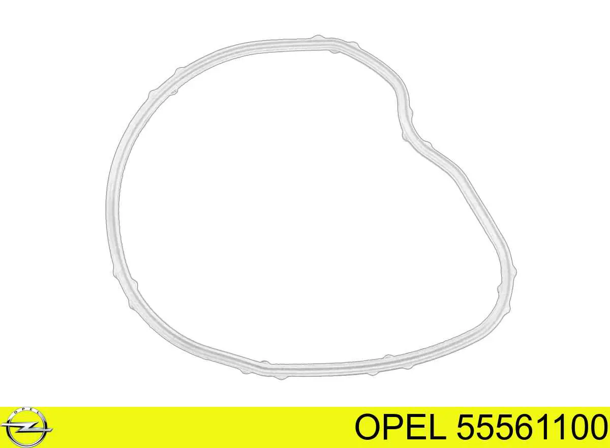 OP545349 OTO Akdeniz прокладка вакуумного насоса