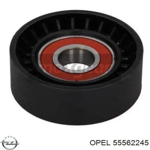 Купить 55562245 Opel Натяжитель приводного ремня